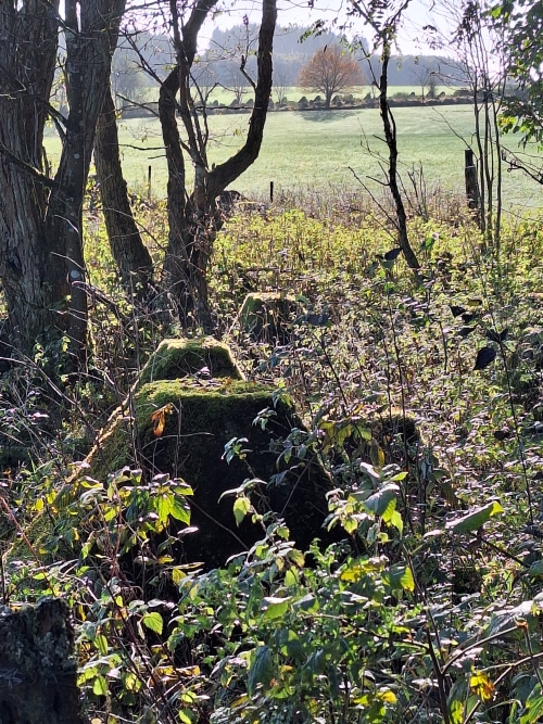 Westwall - Tank Barrier Hollerath #5