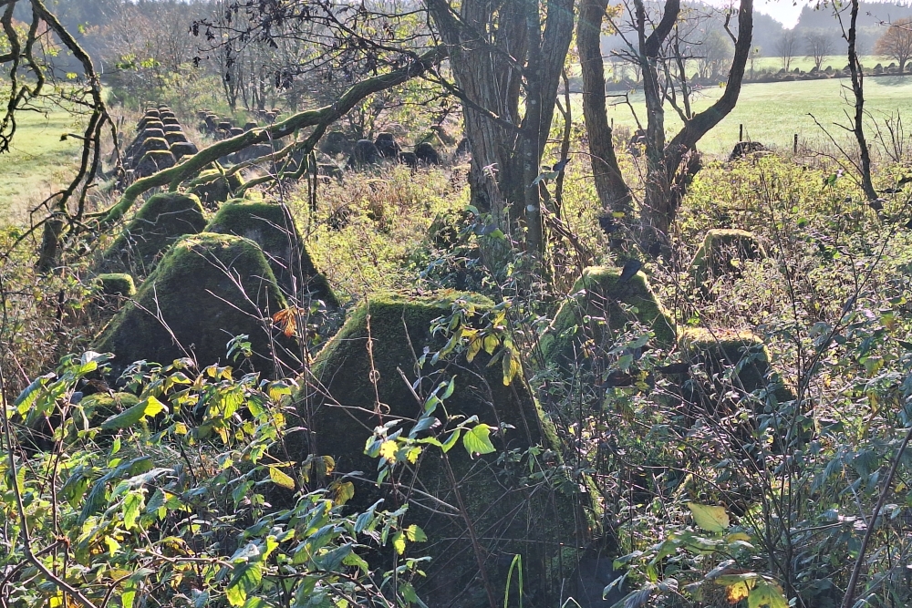 Westwall - Tank Barrier Hollerath #6