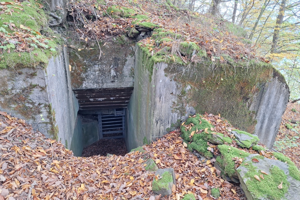 Duitse Bunker 325 Urfttal