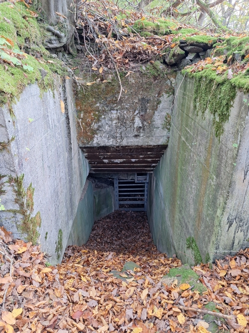 German Bunker 325 Urfftal #2