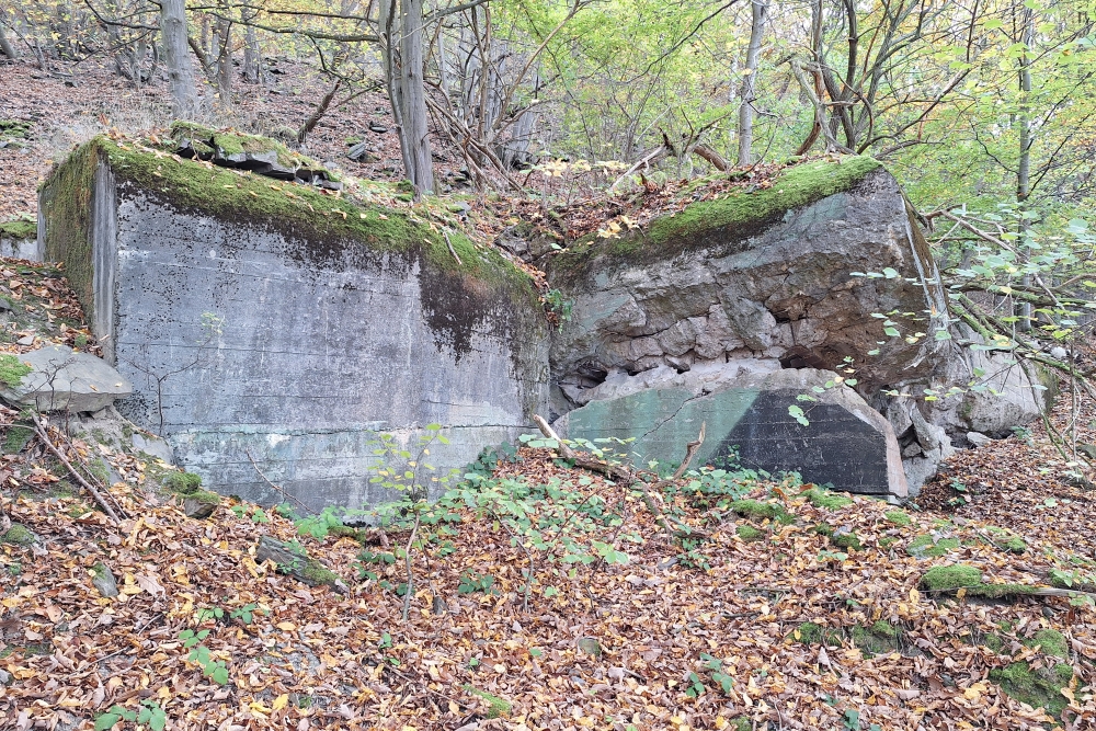 German Bunker 325 Urfftal #3