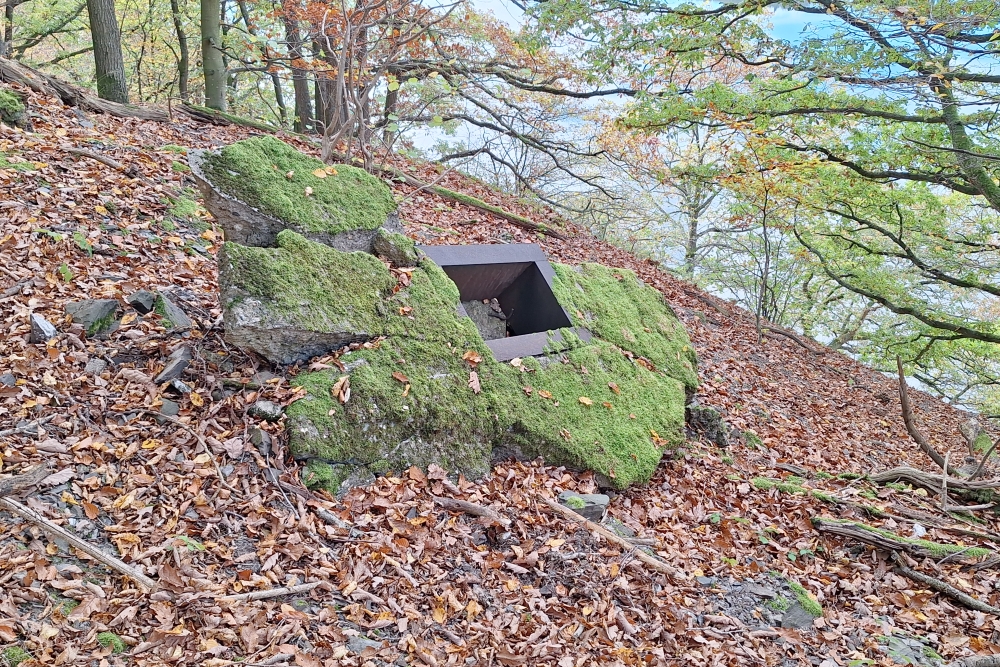 German Bunker 325 Urfftal #4