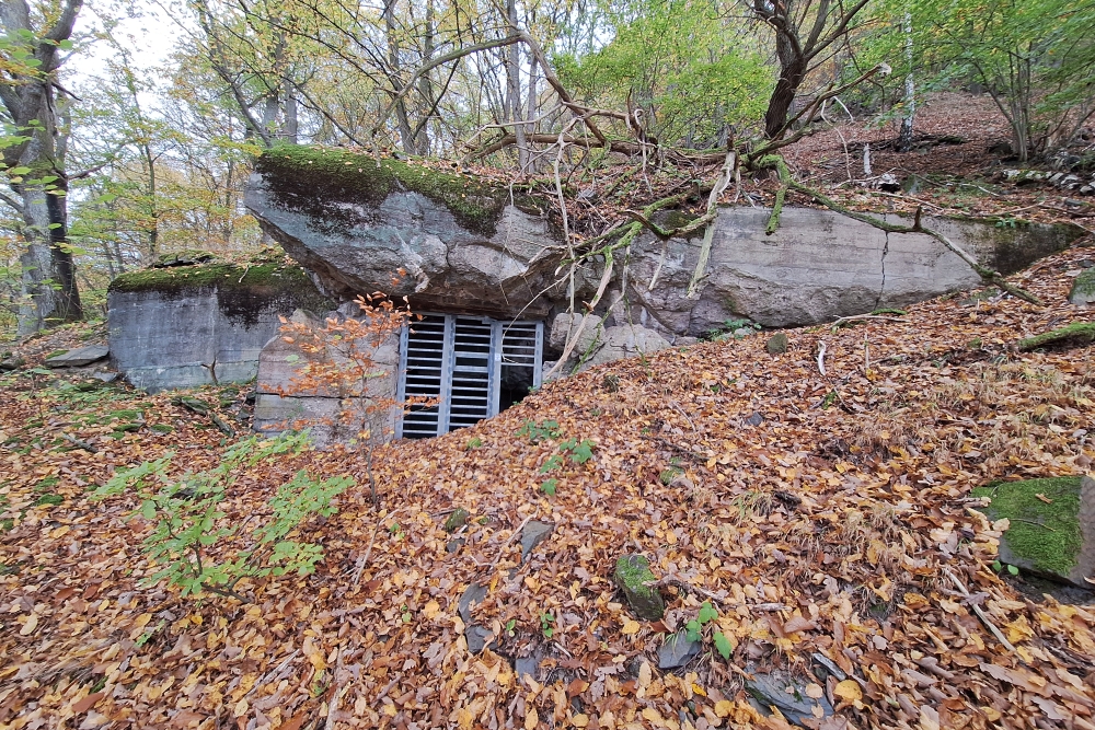 German Bunker 325 Urfftal #5