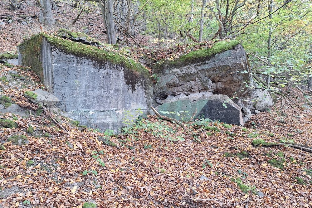 German Bunker 325 Urfftal #7