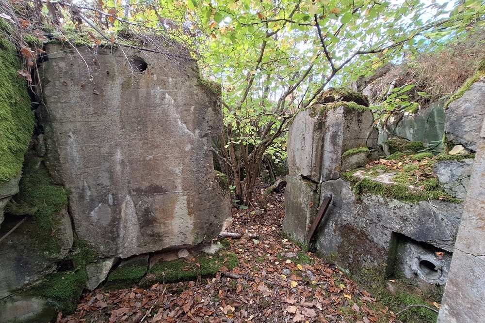 German Bunker 331 Urfftal #5