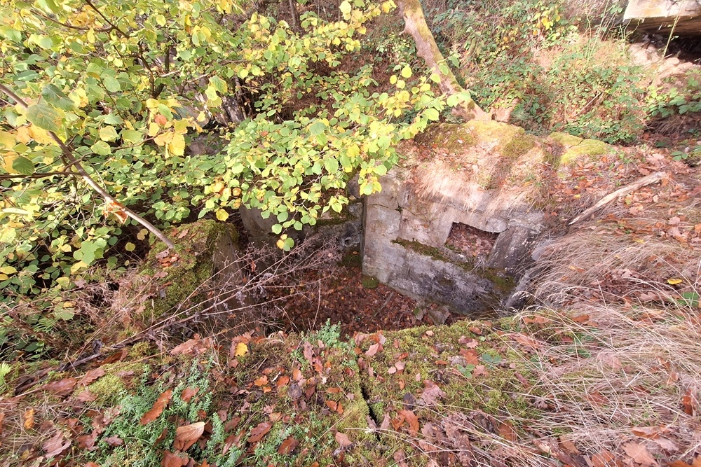 German Bunker 331 Urfftal #6