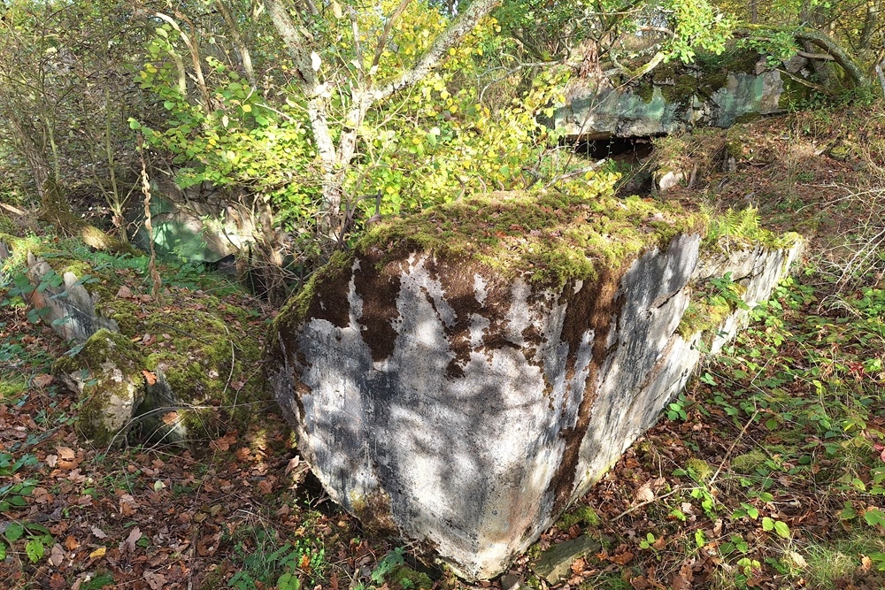 German Bunker 331 Urfftal #8