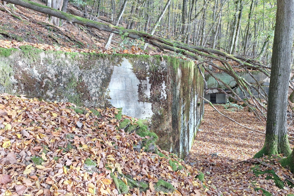 German Bunker 333 Urfftal #2