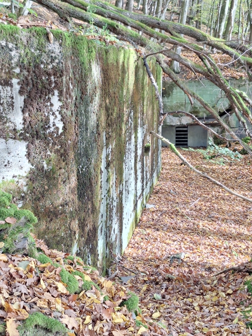 German Bunker 333 Urfftal #3