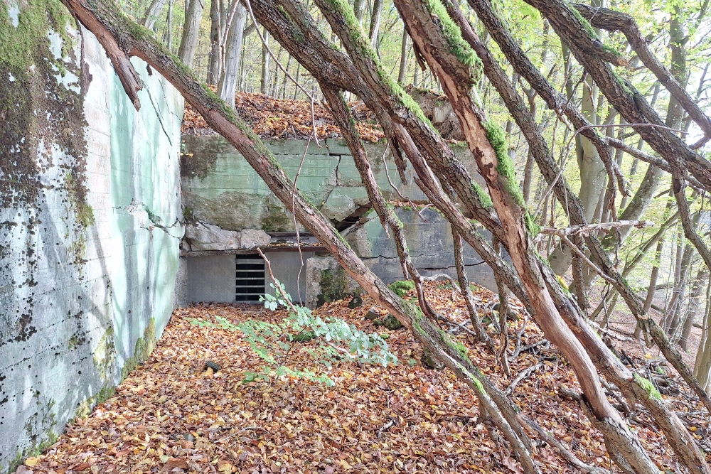 German Bunker 333 Urfftal #4