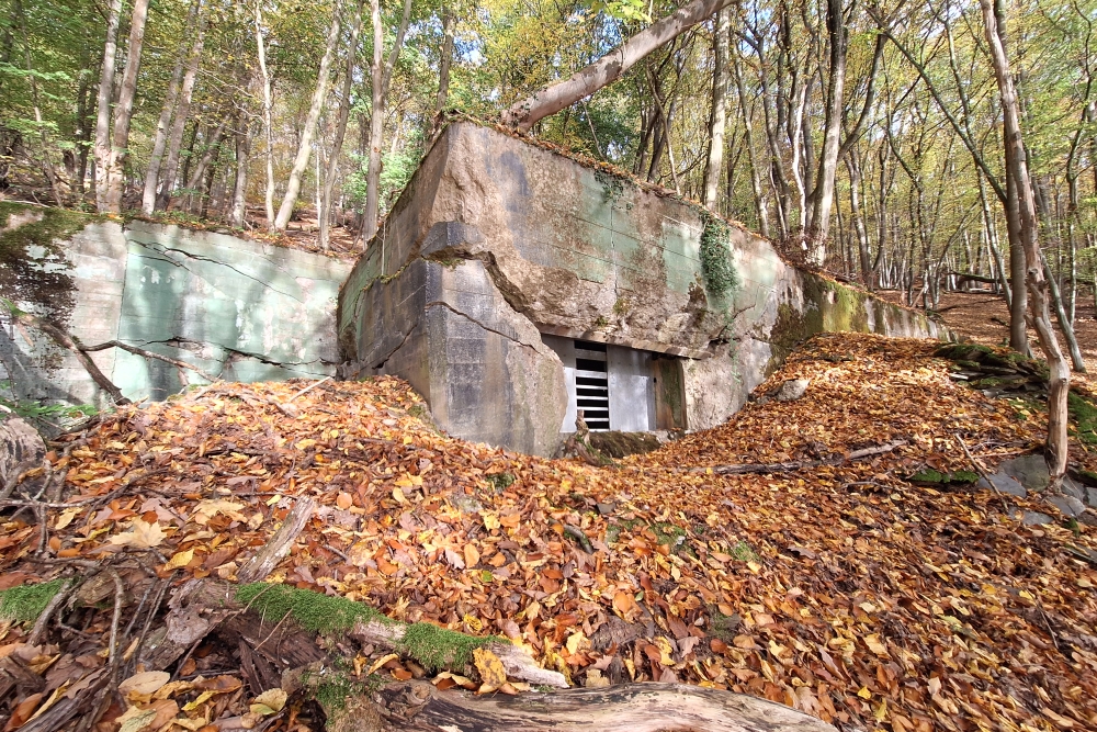 German Bunker 333 Urfftal #6