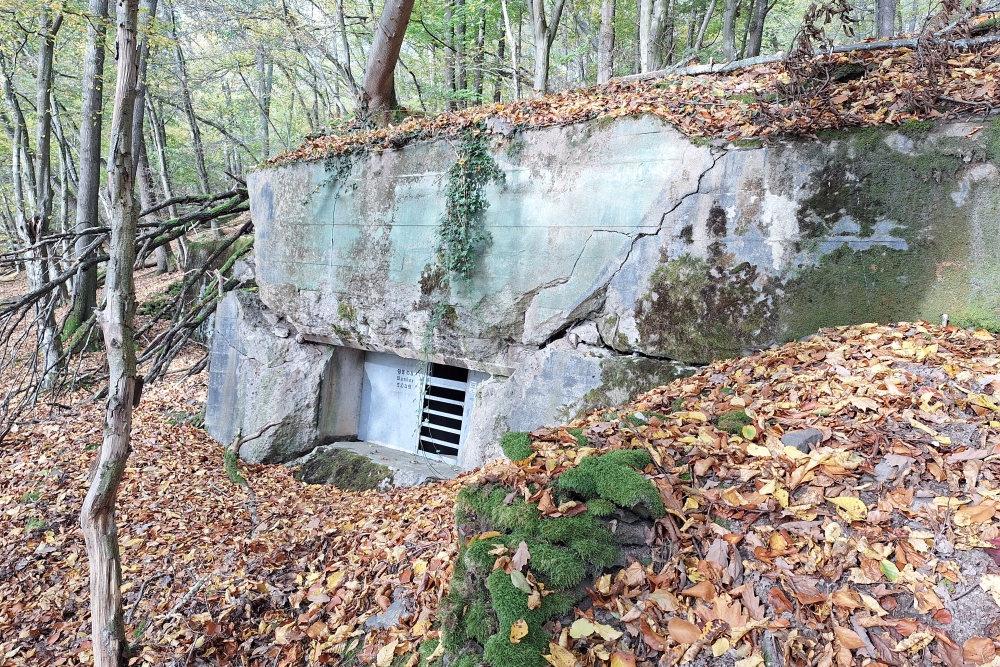 German Bunker 333 Urfftal #8