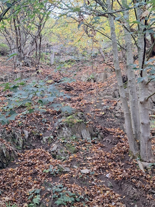 German Bunker 337 Urfftal #4