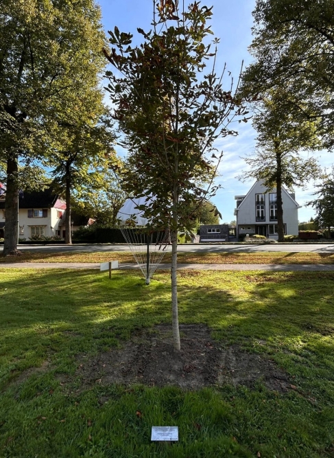 Anne Frank Tree Sint-Oedenrode  #2