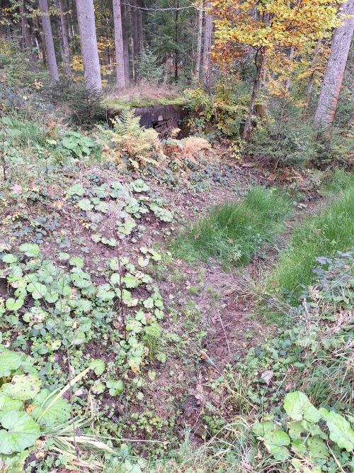 Duitse Waterbunker Hollerath #3