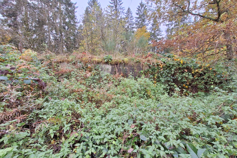 Duitse Waterbunker Hollerath #2