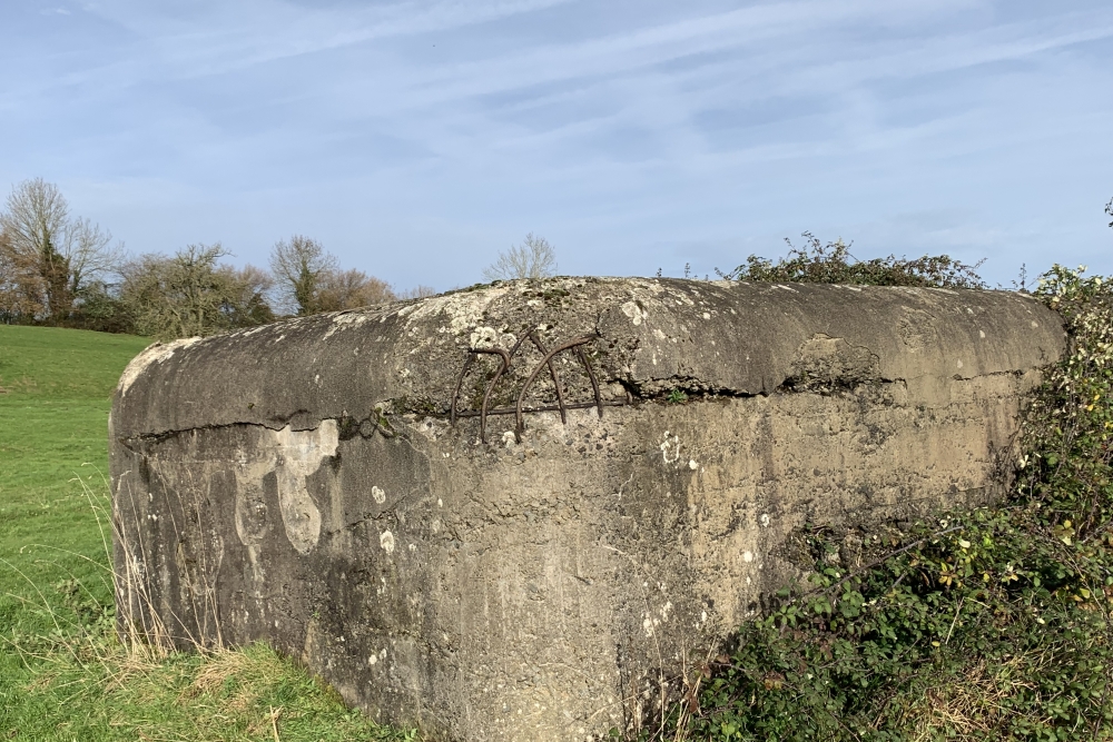 Defense Bunker MM 5bis #4