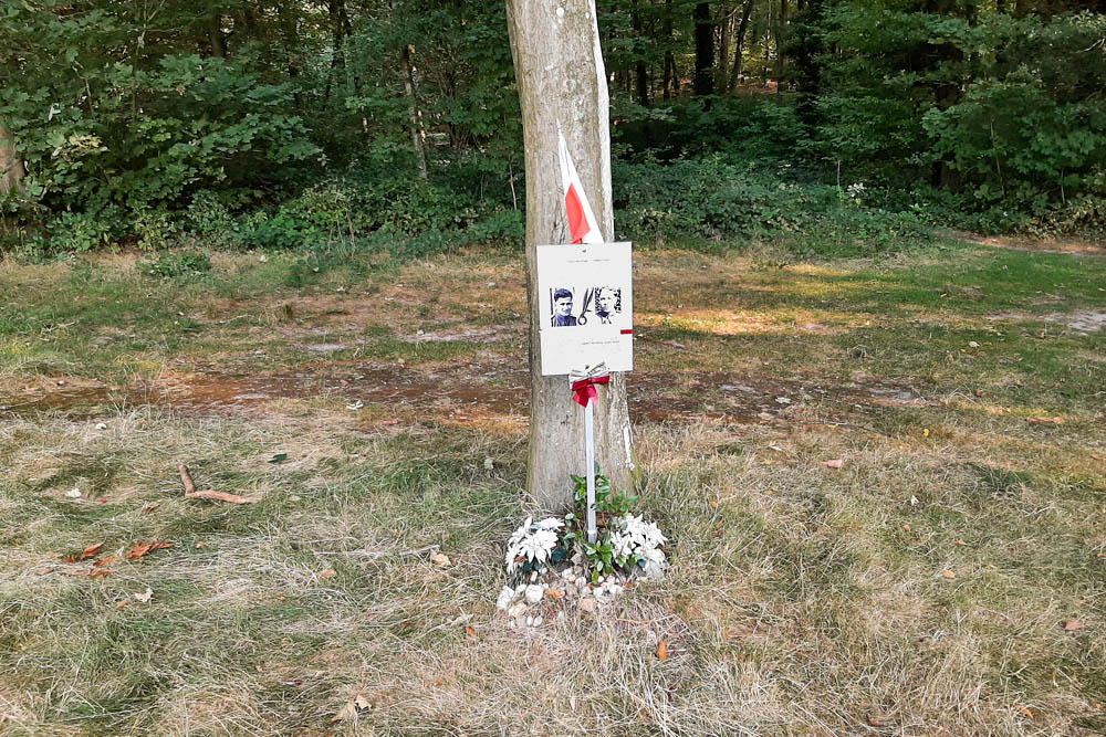 Field Graves Polish Soldiers #2