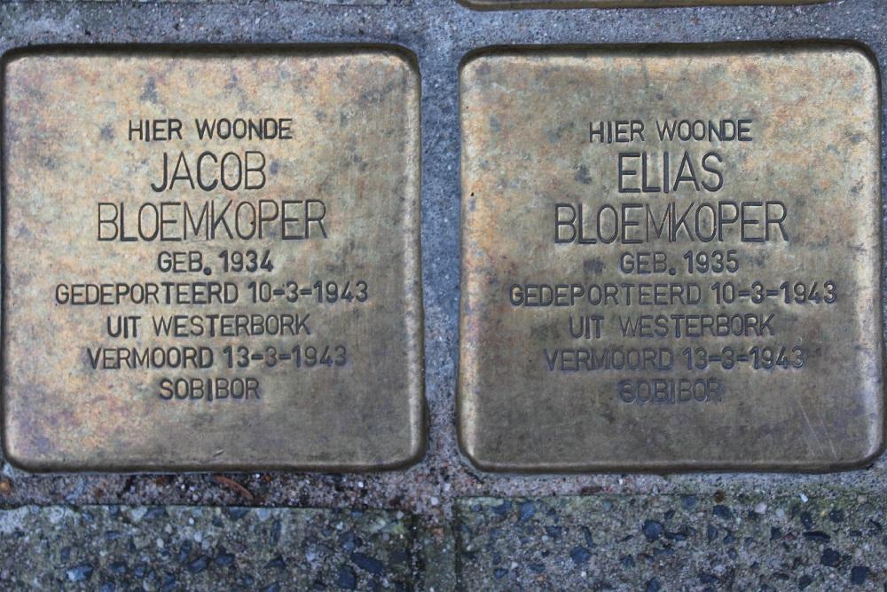 Stolpersteine Tiboel Siegenbeekstraat 20 #3