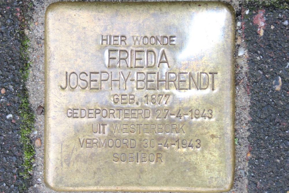 Stolpersteine Juliana van Stolberglaan 47 #2