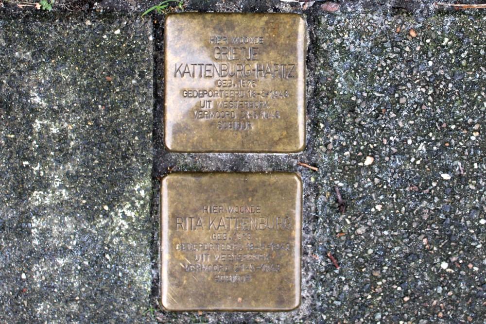 Stolpersteine Mecklenburglaan 52 #1