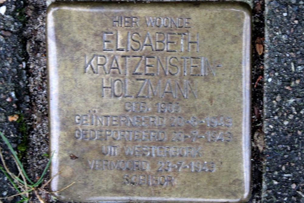 Stolpersteine Mecklenburglaan 90 #3