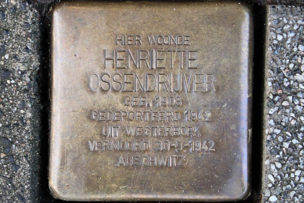 Stolperstein Schieweg 50a  #1