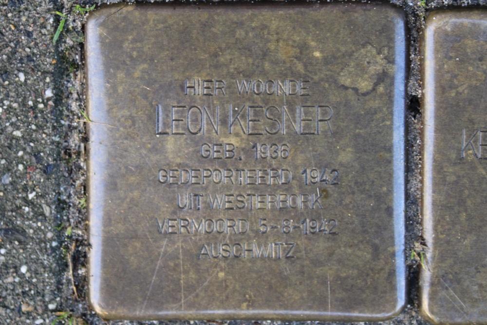 Stolpersteine Pleretstraat 300-310 #2