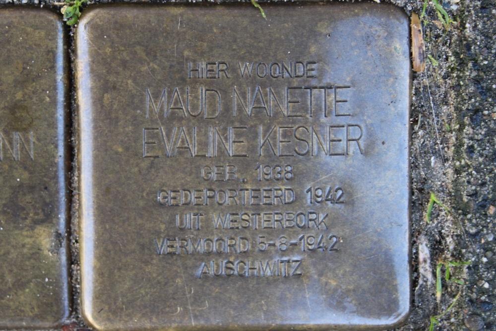 Stolpersteine Pleretstraat 300-310 #4