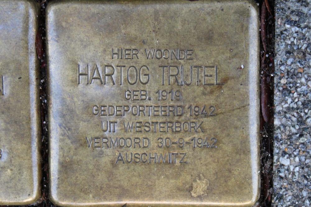 Stolpersteine Schoonoordstraat 8b  #3