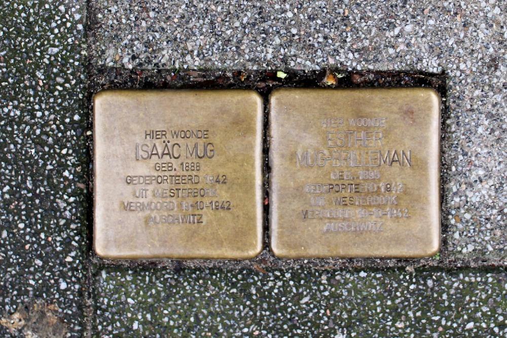 Stolpersteine Anna Paulownastraat 43a #1