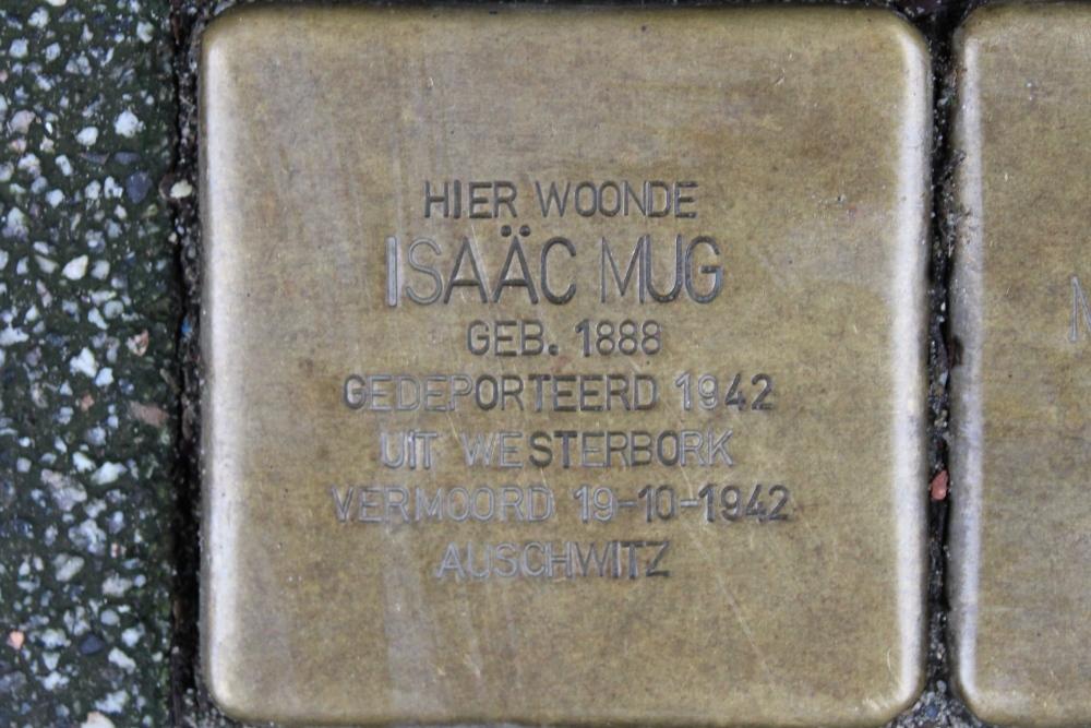 Stolpersteine Anna Paulownastraat 43a #2