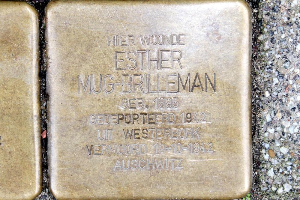 Stolpersteine Anna Paulownastraat 43a #3