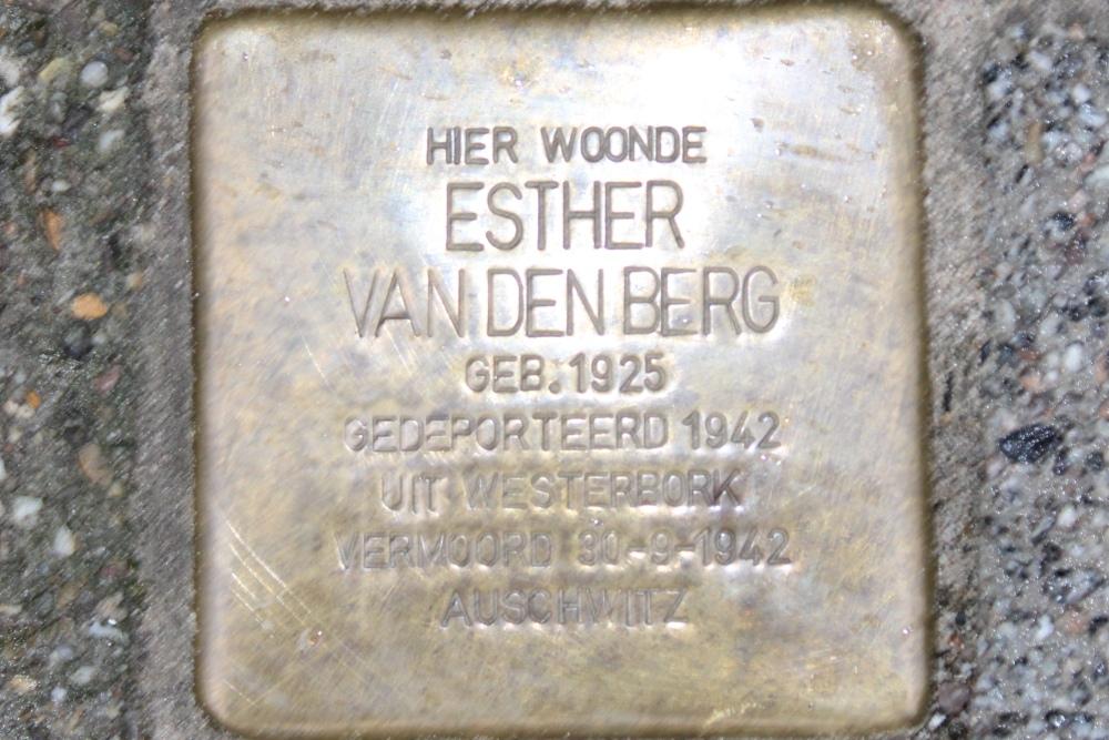 Stolperstein Van Weelstraat 33b #1