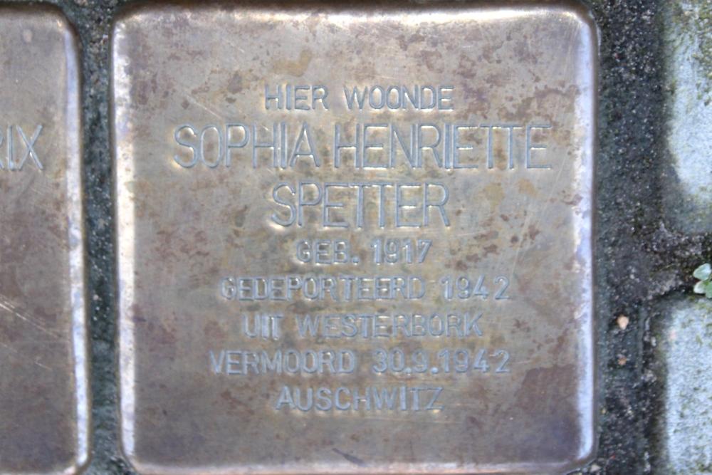 Stolpersteine Thorbeckelaan 130 #6