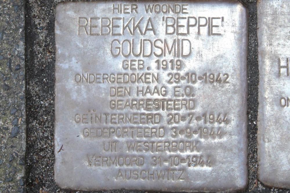 Stolpersteine Regentesselaan 20 #3