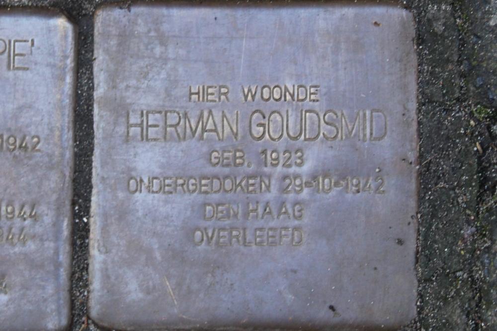 Stolpersteine Regentesselaan 20 #4