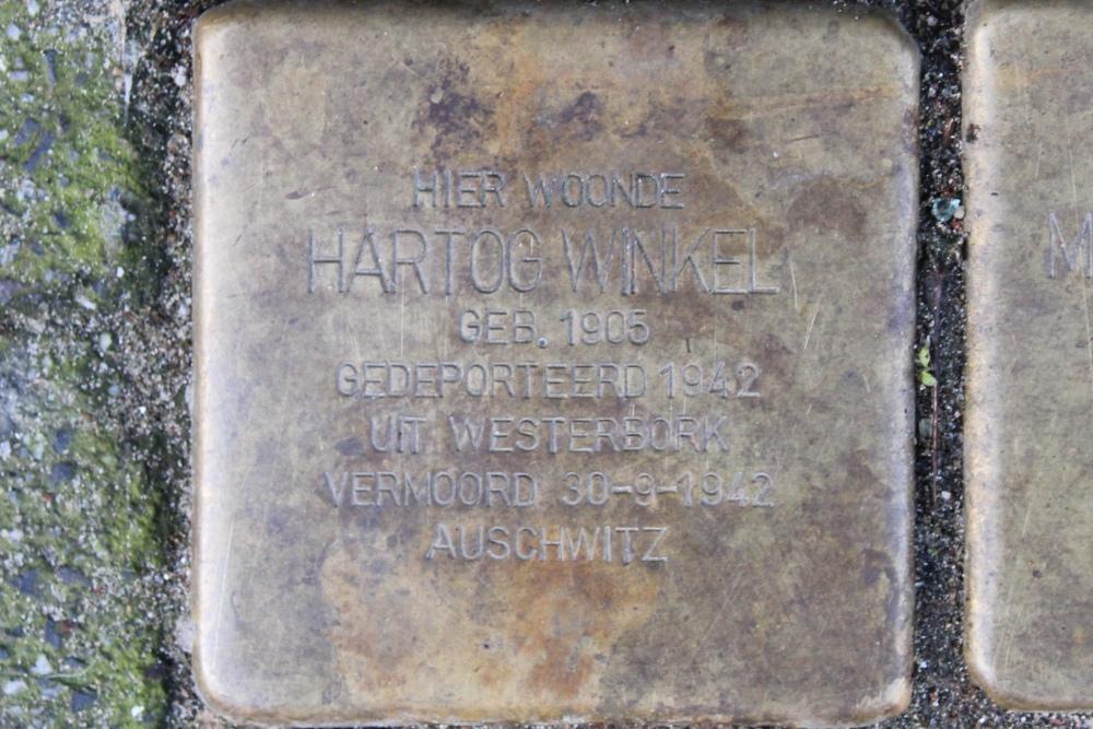 Stolpersteine Convivastraat 55 #2