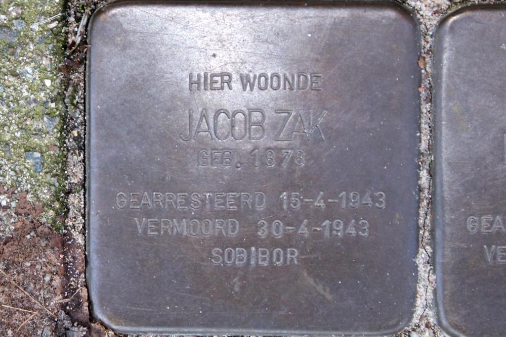 Stolpersteine Afrikanerplein 146-ll / 146hs #4