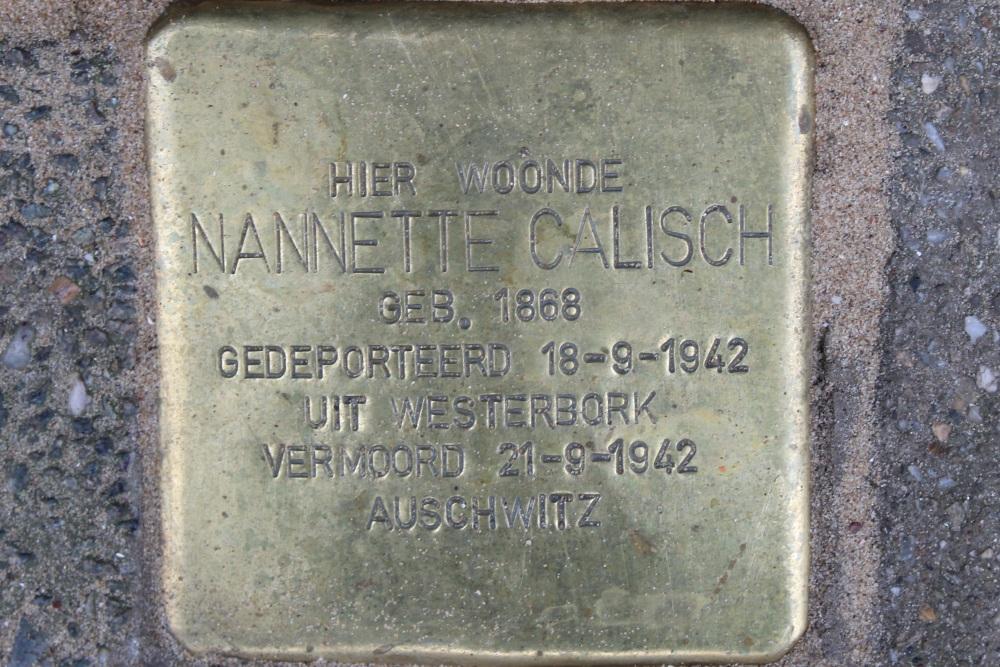 Stolpersteine Johan van Vlietstraat 81 #5