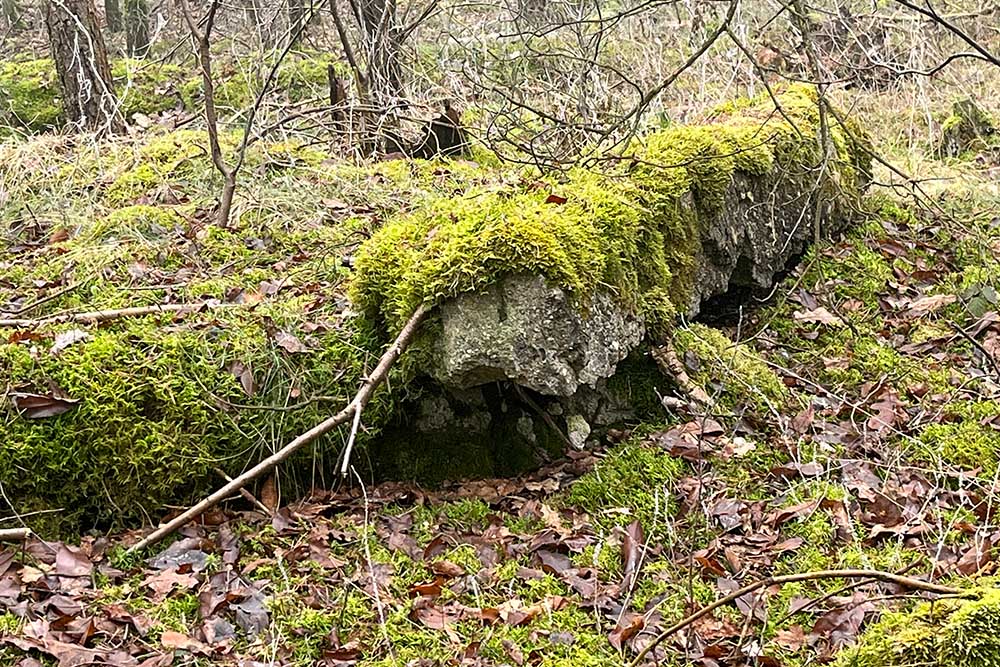 Remains Bunkers Airport Plantlünne #1