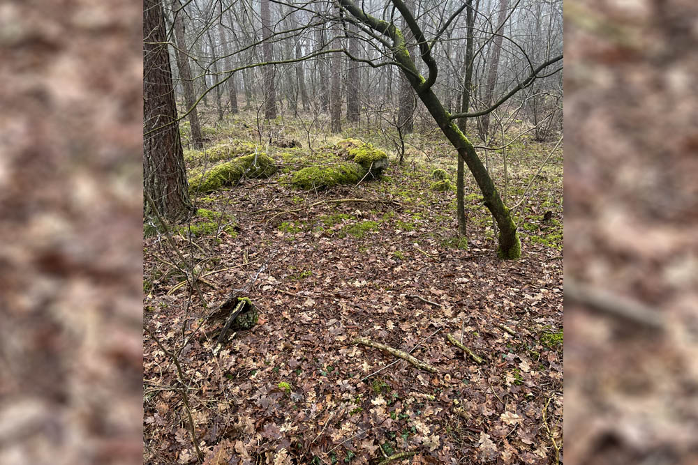 Remains Bunkers Airport Plantlünne #2