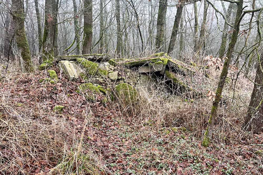 Remains Bunkers Airport Plantlünne #3