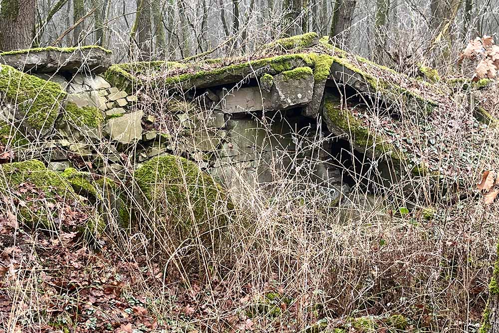 Remains Bunkers Airport Plantlünne #4