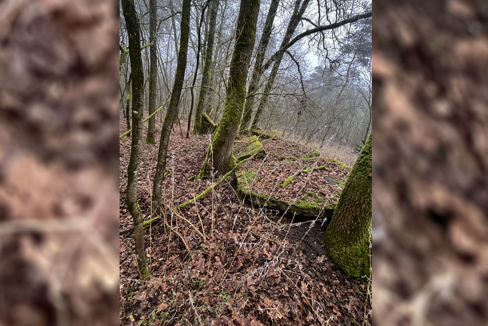 Restanten Bunkers Luchthaven Plantlnne #5