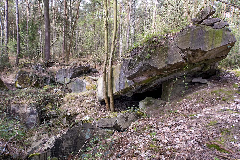 Westwal Bunker Mausbach #3