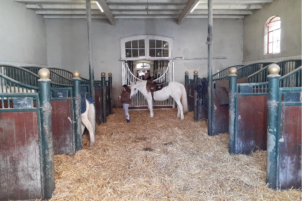 De Hollandsche Manege Amsterdam #5