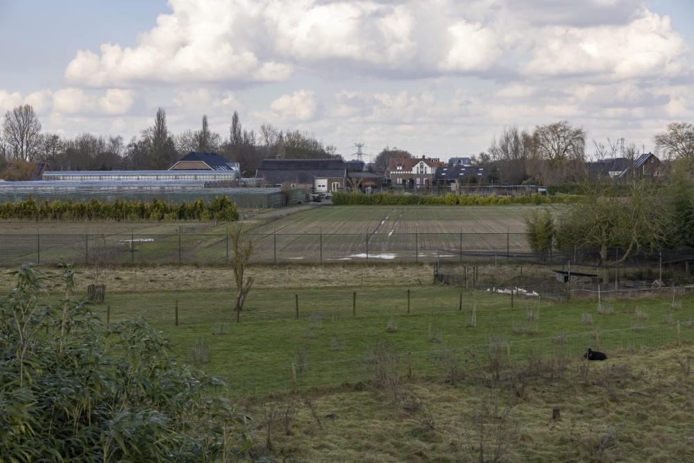 Crashlocatie Hawker Typhoon Mk IB MN434 - RB250