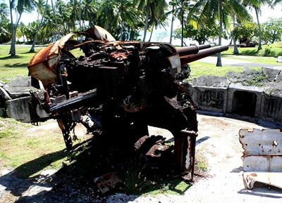 Japanese Type 89 AA Gun Roi-Namur #3