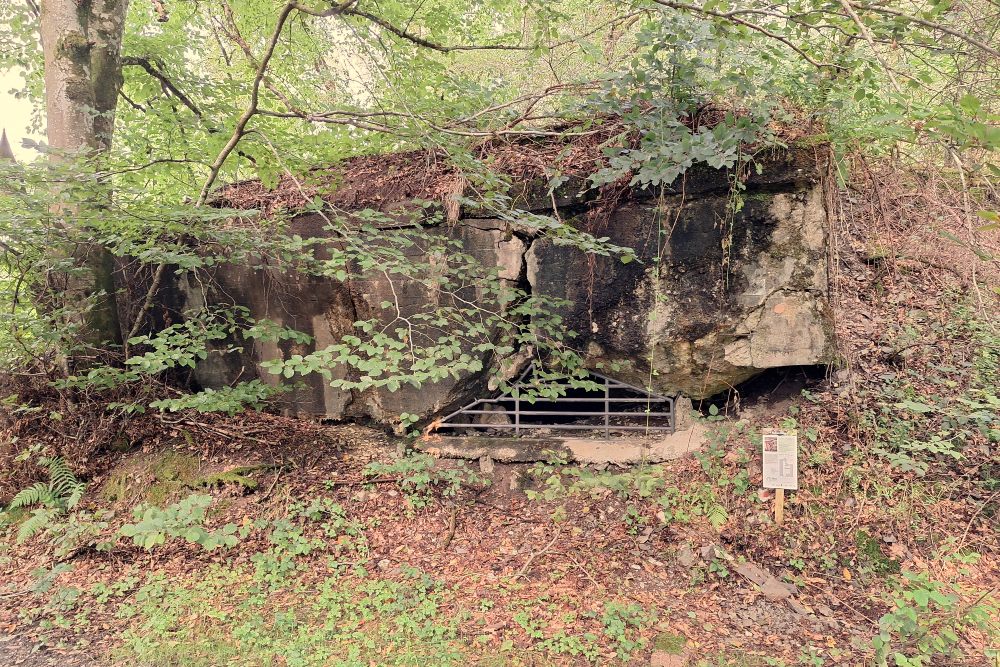 Duitse Bunker WH 317 Dasburg #2